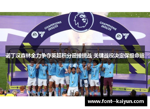 诺丁汉森林全力争夺英超积分迎接挑战 关键战役决定保级命运 诺丁汉森林全力争夺英超积分迎接挑战 关键战役决定保级命运